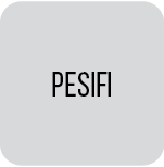 Peer support for integration in Finland - PESIFI ry