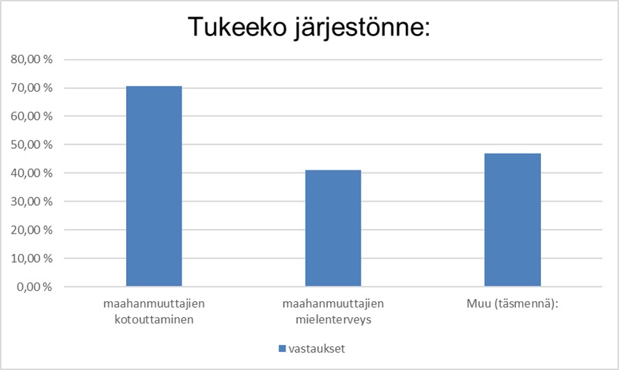 Taulukko, jossa esitetään järjestöjen toiminnan pääpainopisteitä. Sisältö esitetään tekstissä.
